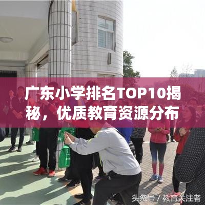 广东小学排名TOP10揭秘，优质教育资源分布深度解读