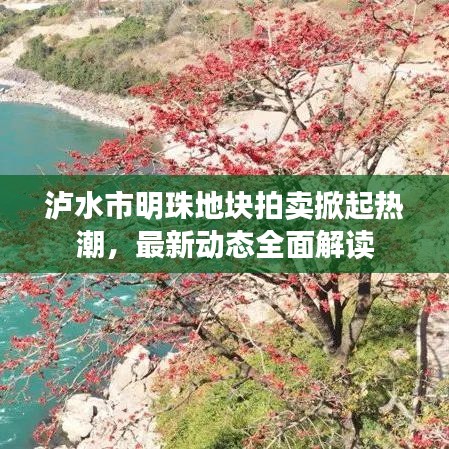 泸水市明珠地块拍卖掀起热潮，最新动态全面解读