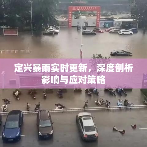 定兴暴雨实时更新，深度剖析影响与应对策略