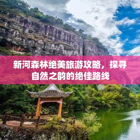 新河森林绝美旅游攻略，探寻自然之韵的绝佳路线