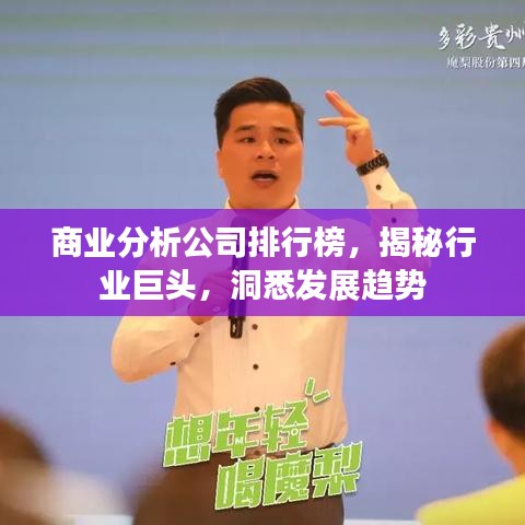 商业分析公司排行榜，揭秘行业巨头，洞悉发展趋势