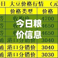 今日粮价信息网更新解析，粮食价格动态与市场趋势分析速递