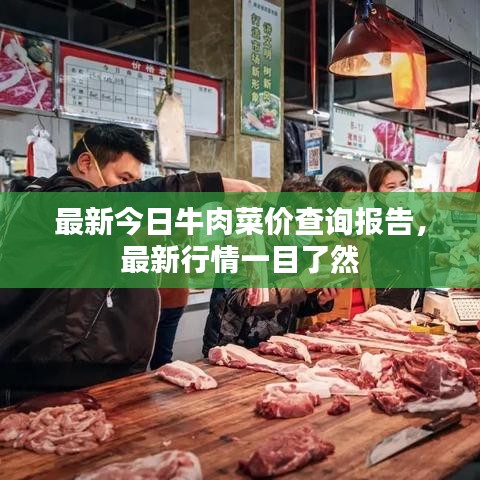 最新今日牛肉菜价查询报告，最新行情一目了然