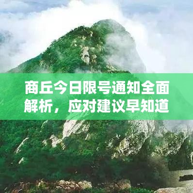 商丘今日限号通知全面解析，应对建议早知道