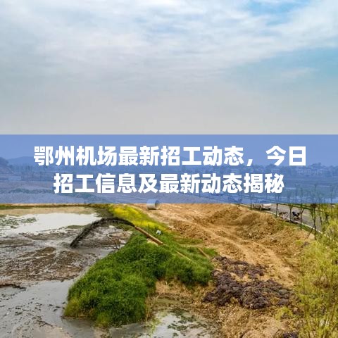 鄂州机场最新招工动态，今日招工信息及最新动态揭秘