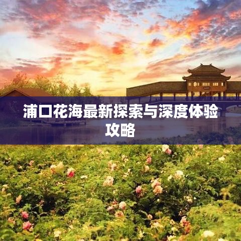浦口花海最新探索与深度体验攻略