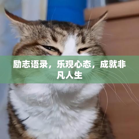 励志语录，乐观心态，成就非凡人生