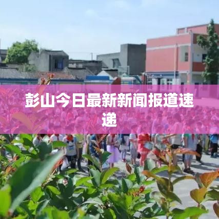 彭山今日最新新闻报道速递