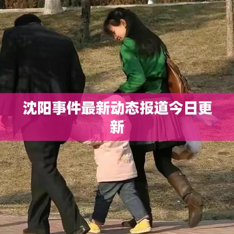 沈阳事件最新动态报道今日更新