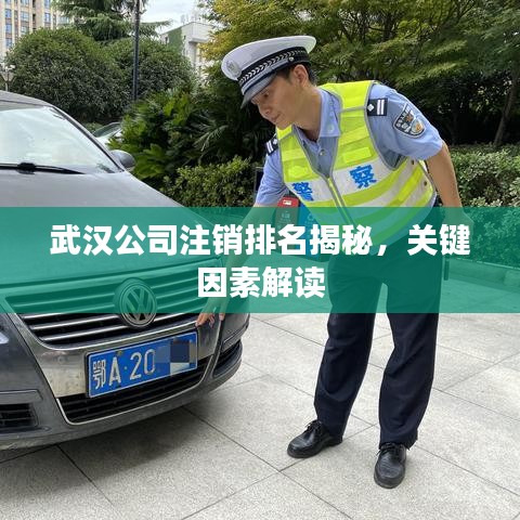武汉公司注销排名揭秘，关键因素解读
