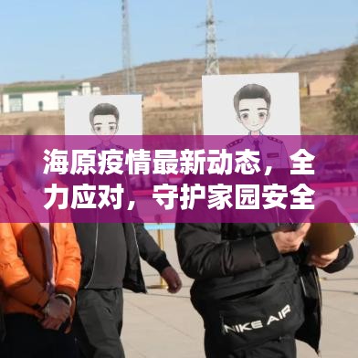 海原疫情最新动态，全力应对，守护家园安全