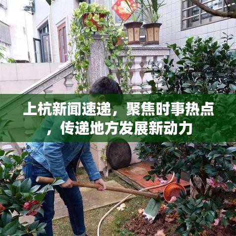 上杭新闻速递，聚焦时事热点，传递地方发展新动力