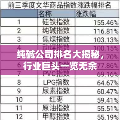 纯碱公司排名大揭秘，行业巨头一览无余