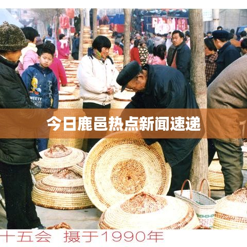 今日鹿邑热点新闻速递