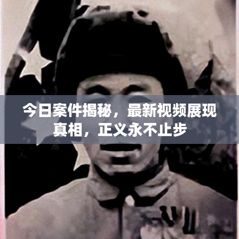 今日案件揭秘，最新视频展现真相，正义永不止步