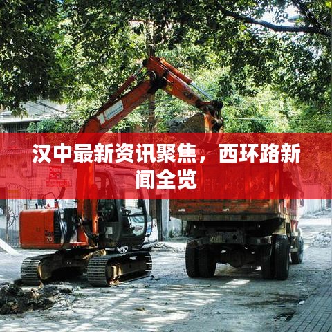 汉中最新资讯聚焦，西环路新闻全览