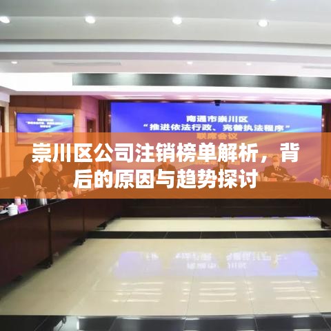 崇川区公司注销榜单解析，背后的原因与趋势探讨