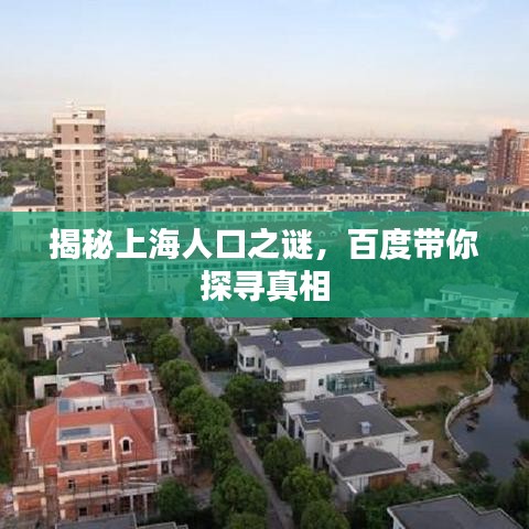 揭秘上海人口之谜，百度带你探寻真相