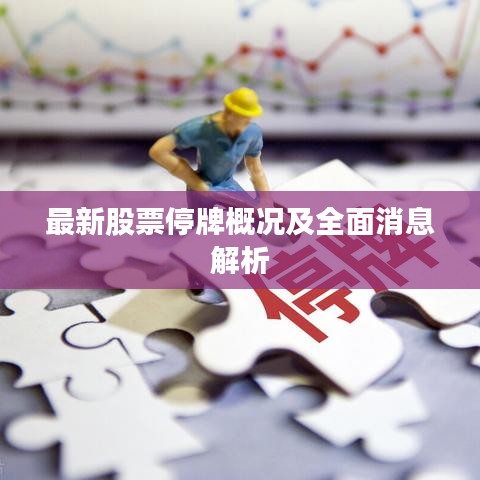 最新股票停牌概况及全面消息解析