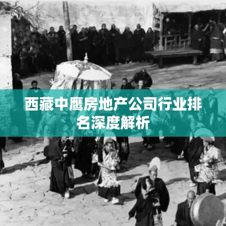 西藏中鹰房地产公司行业排名深度解析