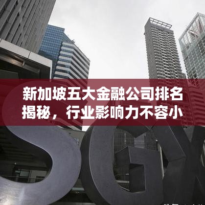 新加坡五大金融公司排名揭秘，行业影响力不容小觑