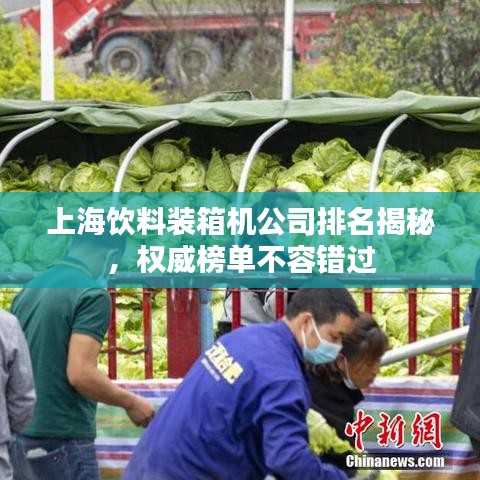 上海饮料装箱机公司排名揭秘，权威榜单不容错过