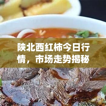 陕北西红柿今日行情，市场走势揭秘，种植户真实心声分享