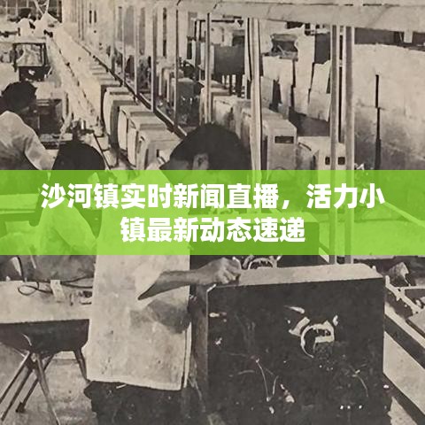 沙河镇实时新闻直播，活力小镇最新动态速递