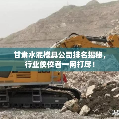 甘肃水泥模具公司排名揭秘，行业佼佼者一网打尽！