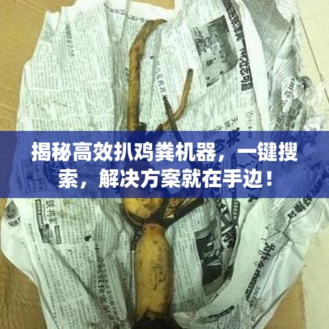 揭秘高效扒鸡粪机器，一键搜索，解决方案就在手边！