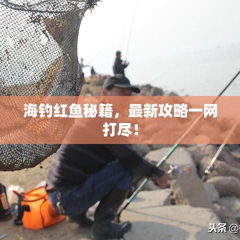 海钓红鱼秘籍，最新攻略一网打尽！