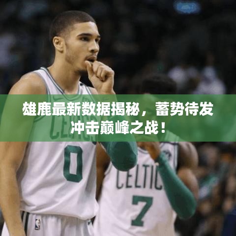 雄鹿最新数据揭秘，蓄势待发冲击巅峰之战！