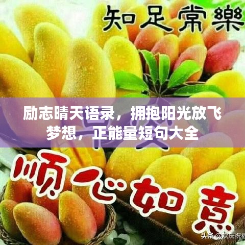 励志晴天语录，拥抱阳光放飞梦想，正能量短句大全