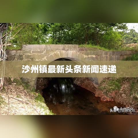 沙州镇最新头条新闻速递