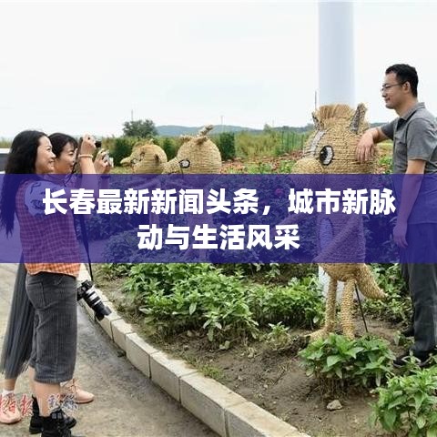 长春最新新闻头条，城市新脉动与生活风采