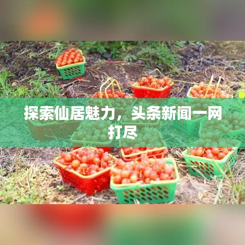 探索仙居魅力，头条新闻一网打尽
