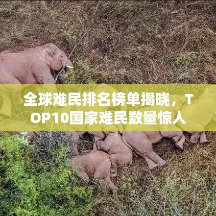 全球难民排名榜单揭晓，TOP10国家难民数量惊人