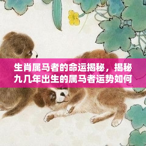 生肖属马者的命运揭秘，揭秘九几年出生的属马者运势如何？