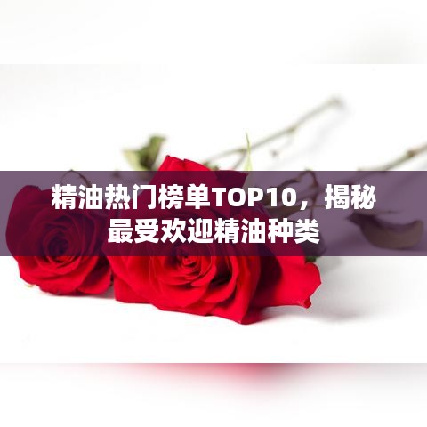 精油热门榜单TOP10，揭秘最受欢迎精油种类