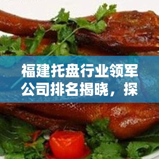 福建托盘行业领军公司排名揭晓，探寻行业佼佼者