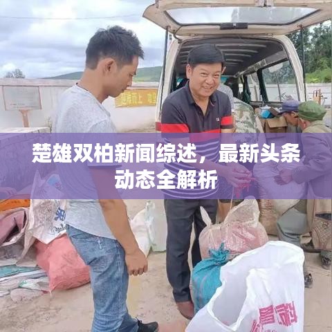 楚雄双柏新闻综述，最新头条动态全解析
