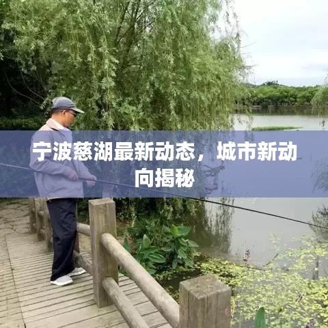 宁波慈湖最新动态，城市新动向揭秘