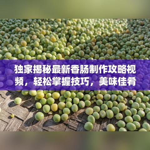 独家揭秘最新香肠制作攻略视频，轻松掌握技巧，美味佳肴享不停！
