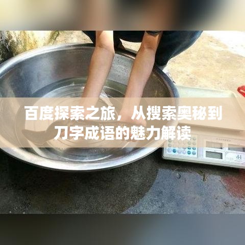 百度探索之旅，从搜索奥秘到刀字成语的魅力解读