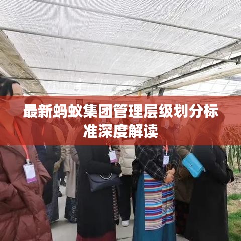 最新蚂蚁集团管理层级划分标准深度解读