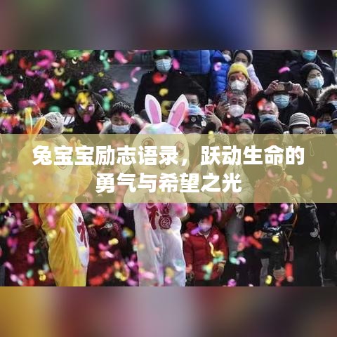 兔宝宝励志语录，跃动生命的勇气与希望之光