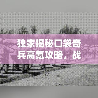 独家揭秘口袋奇兵高氪攻略，战术解析与实战指南助你轻松取胜！