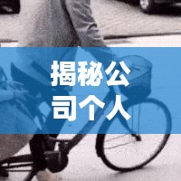 揭秘公司个人资产排名，财富积累与分布一览无余