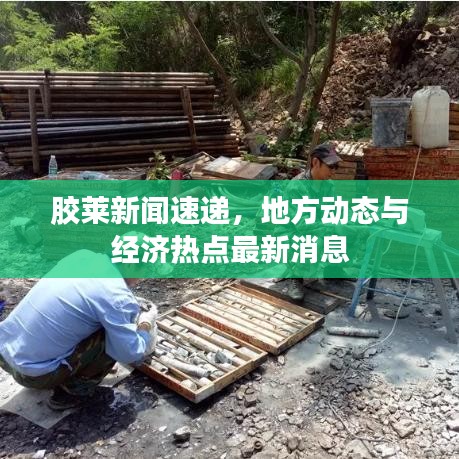 胶莱新闻速递，地方动态与经济热点最新消息