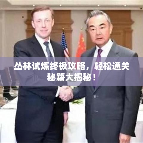 丛林试炼终极攻略，轻松通关秘籍大揭秘！